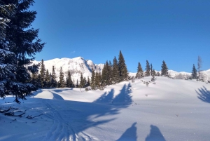 Vienna: 2-day Alpine Mountain Hiking Tour Guide and Transfer