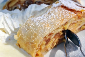 Vienna: 2-hour Danube Panorama Tour