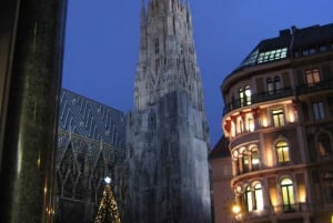 Wien: 2-timers historisk sightseeingbyvandring