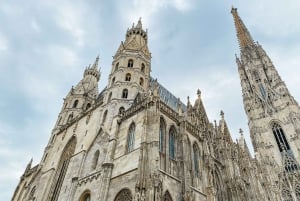 Vienne : visite guidée à pied de 2 h