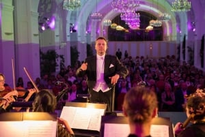 Wenen: driegangendiner en concert in Schloss Schönbrunn