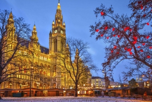 Vienna: 3-Hour Christmas Tour by Segway