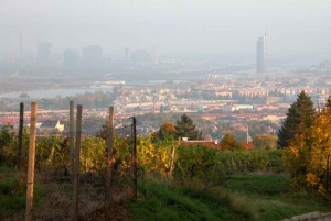 Vienna 3-Hour Hiking Tour of Wiener Wald