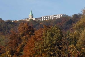 Vienna 3-Hour Hiking Tour of Wiener Wald