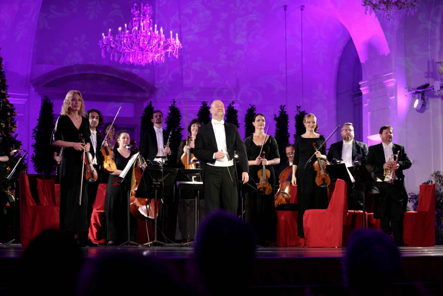 Vienna: Ingresso al Castello di Schönbrunn dopo l'orario di apertura e biglietto per il concerto