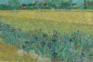 Vienna: Albertina. Matthew Wong - Vincent van Gogh