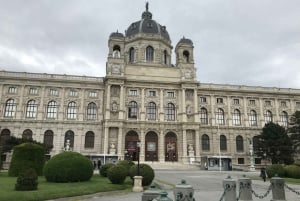 Wenen en de Holocaust: een zelfgeleide audiotour