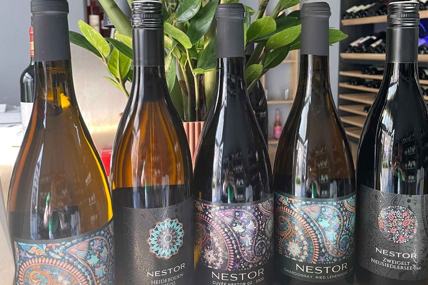 Vienna: Degustazione di vini austriaci