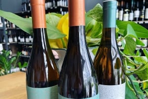 Vienna: Degustazione di vini austriaci