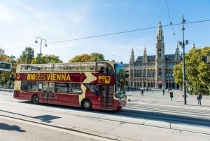 Vienna: Hop-on Hop-off, ruota panoramica e crociera sul fiume