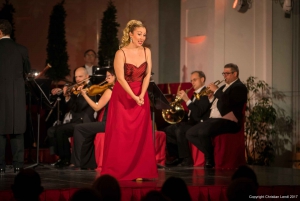 Vienna: Blue Danube Cruise, Dinner, and Concert Experience