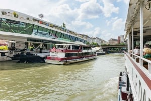Viena: Paseo en barco por el canal del Danubio con almuerzo opcional