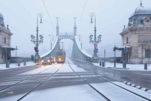 Wien: Dagstur til Bratislava og Budapest med guide