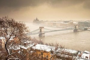 Wien: Dagstur til Bratislava og Budapest med guide