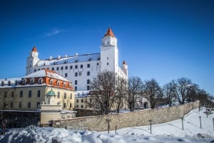 Viena: Excursión de un día a Bratislava con Guía y Transporte Privados
