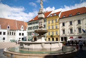 Wien: Bratislava dagstur med privat guide og transport