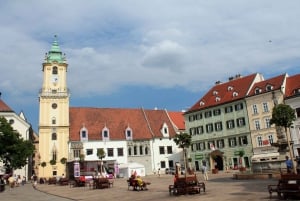 Viena: viagem de um dia a Bratislava com guia particular e transporte
