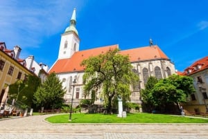 Viena: viagem de um dia a Bratislava com guia particular e transporte