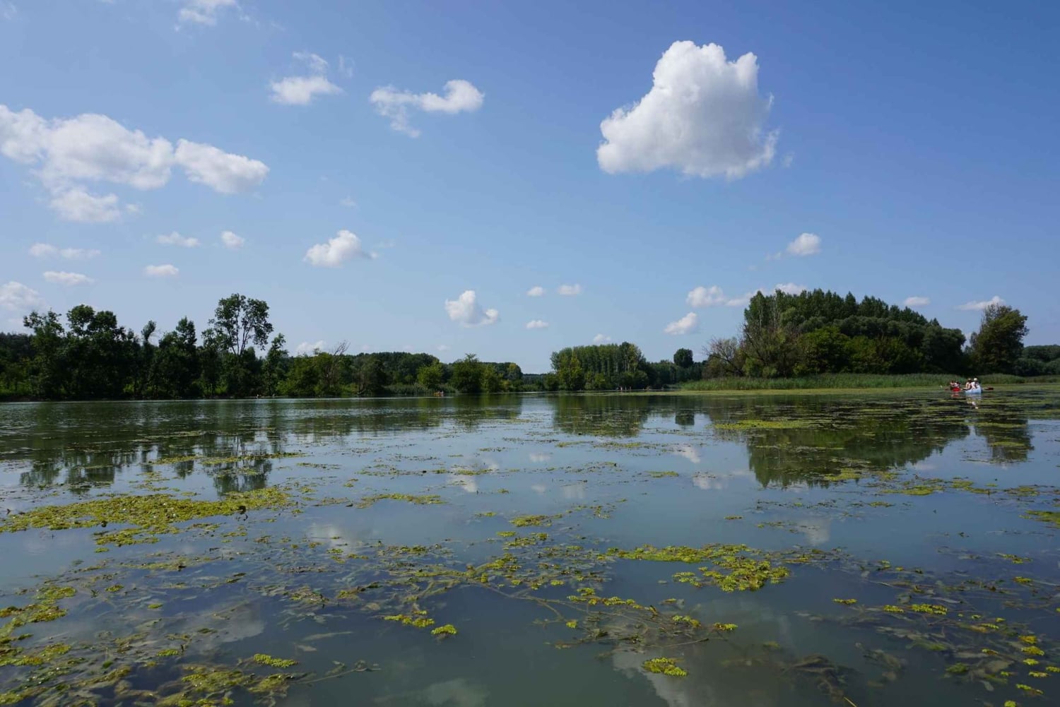 Wypożyczalnia rowerów Wiedeń-Budapeszt z dostawą roweru