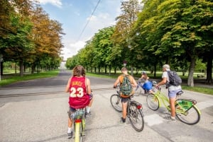 Wenen: alles-in-één fietstocht van 3 uur in het Engels