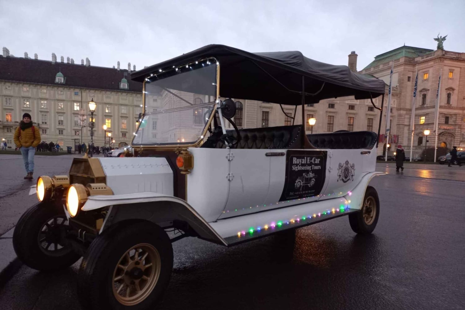 Vienne par Electric Elegance : Visite privée du marché de Noël