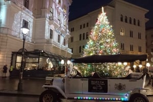 Vienna by Electric Elegance: Electric Elegance: Christmas Market Private Tour