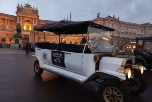 Vienne par Electric Elegance : Visite privée du marché de Noël