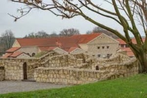 Viena: Visita de la ciudad romana de Carnuntum con guía