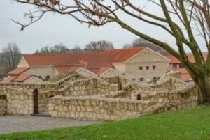 Vienna: tour della città romana di Carnuntum con guida