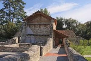 Vienna: tour della città romana di Carnuntum con guida