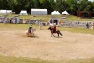 Vienna: tour della città romana di Carnuntum con guida