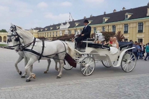 Vienna: Carriage Ride Through Schönbrunn Palace Gardens