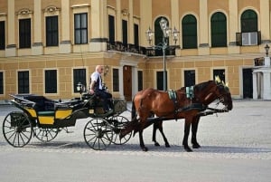 Vienna: Carriage Ride Through Schönbrunn Palace Gardens