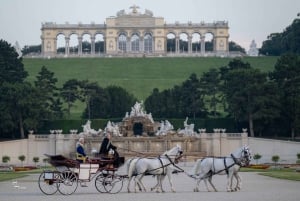 Viena: Paseo en carruaje por los jardines del palacio de Schönbrunn