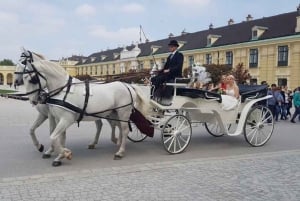 Wien: Køretur i Schönbrunn Slotspladsens have