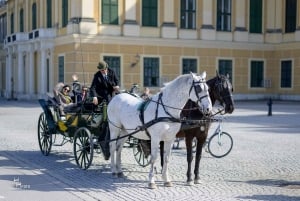 Vienna: giro in carrozza attraverso i giardini del castello di Schönbrunn