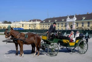 Wiedeń: przejażdżka bryczką po ogrodach pałacu Schönbrunn