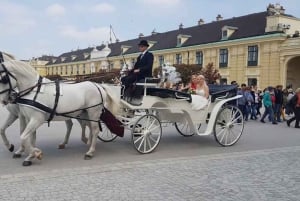 Wien: Køretur i hestevogn gennem Schönbrunns slotshave