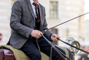 Wien: Køretur i hestevogn gennem Schönbrunns slotshave