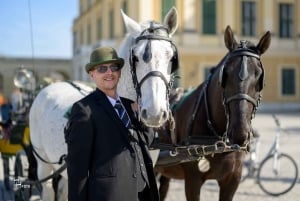 Wien: Køretur i hestevogn gennem Schönbrunns slotshave