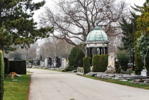 Wenen wandeltour over de centrale begraafplaats met transfers