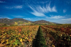 Vienna: tour di Český Krumlov e della Valle di Wachau