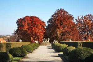 Vienna: Český Krumlov & Prague Day Trip with Photographer