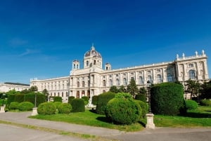 Vienna: City Bus Tour, Schönbrunn Palace Skip-the-Line Entry