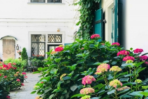 Vienna: City Center Guided Walking Tour