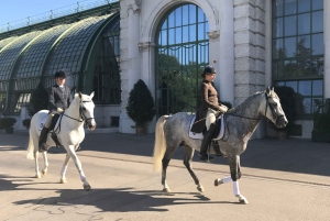 Vienna: City Center Guided Walking Tour