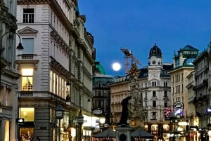 Viena: Visita guiada a pie por el centro de la ciudad