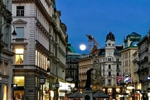 Vienna: City Center Guided Walking Tour