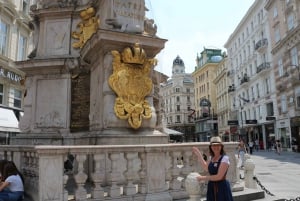 Vienna: Tour a piedi del centro città per piccoli gruppi