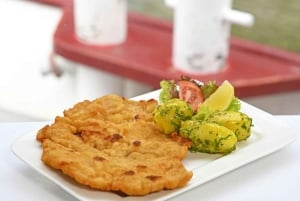 Viena: Cruzeiro pela cidade com almoço opcional